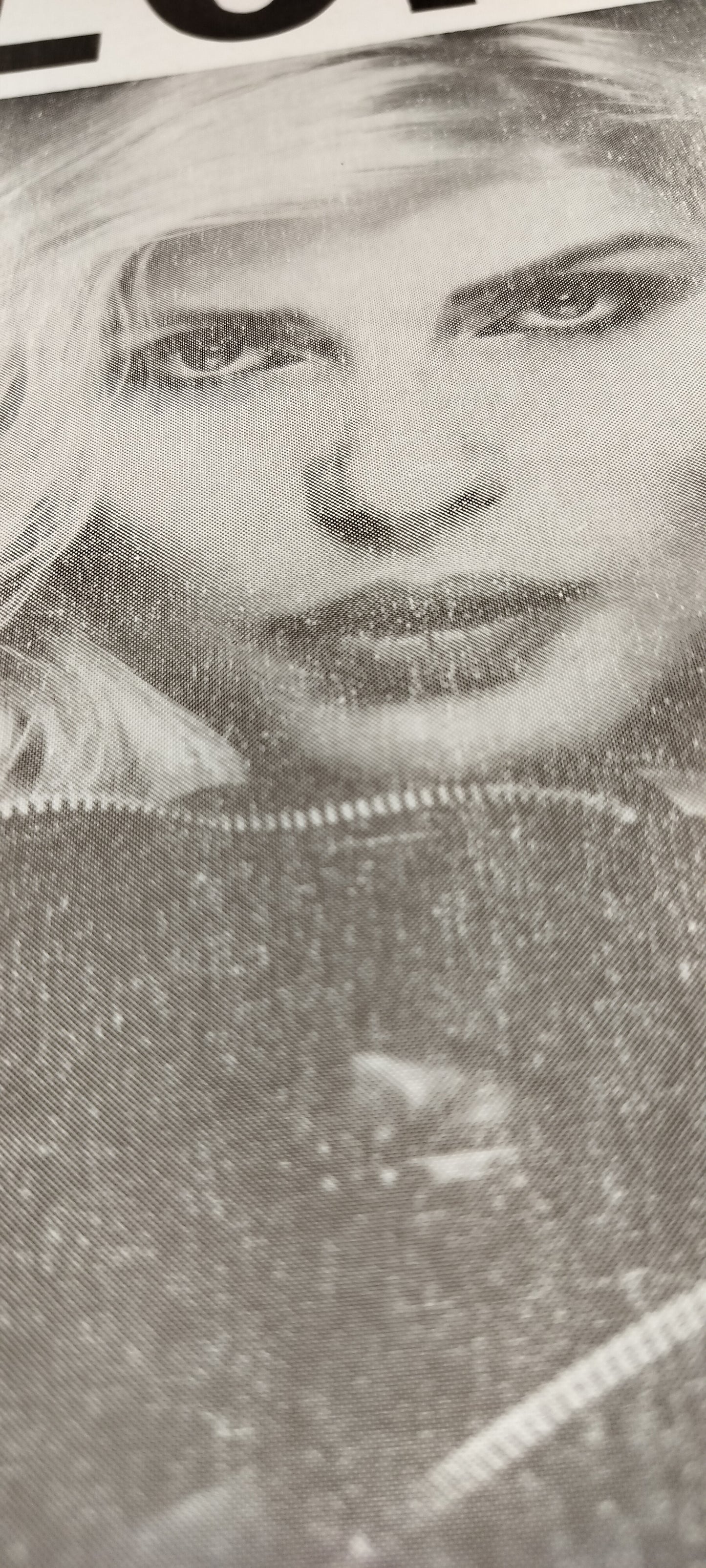 Blondie Concert Poster