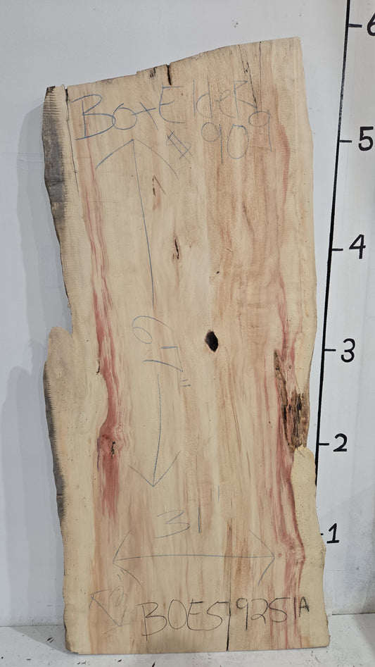 Box Elder Live Edge Slab