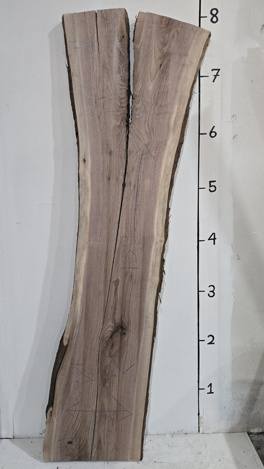 Black walnut Live Edge Slab-BW59251A