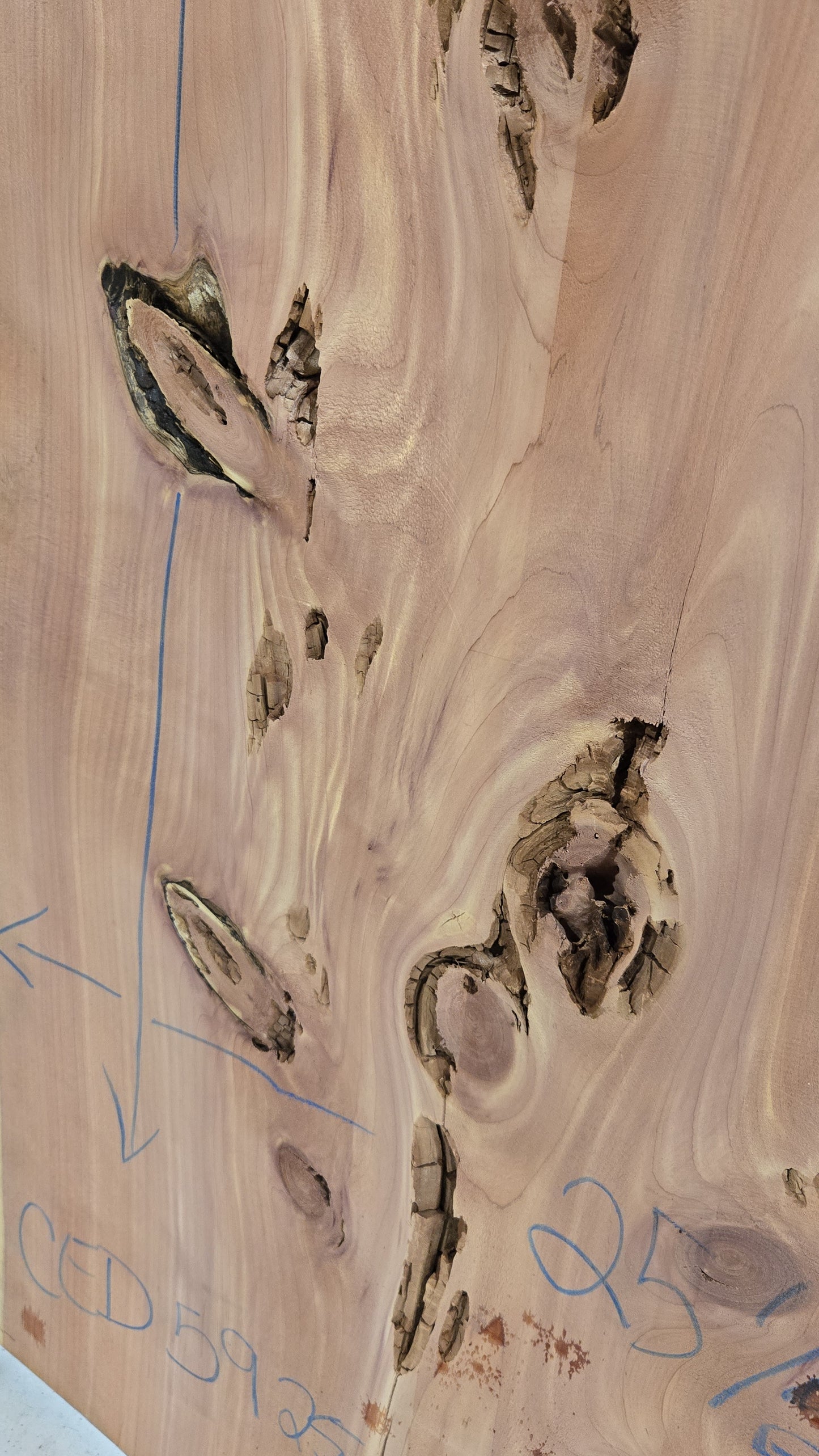 Cedar Live Edge Slab CED59251A
