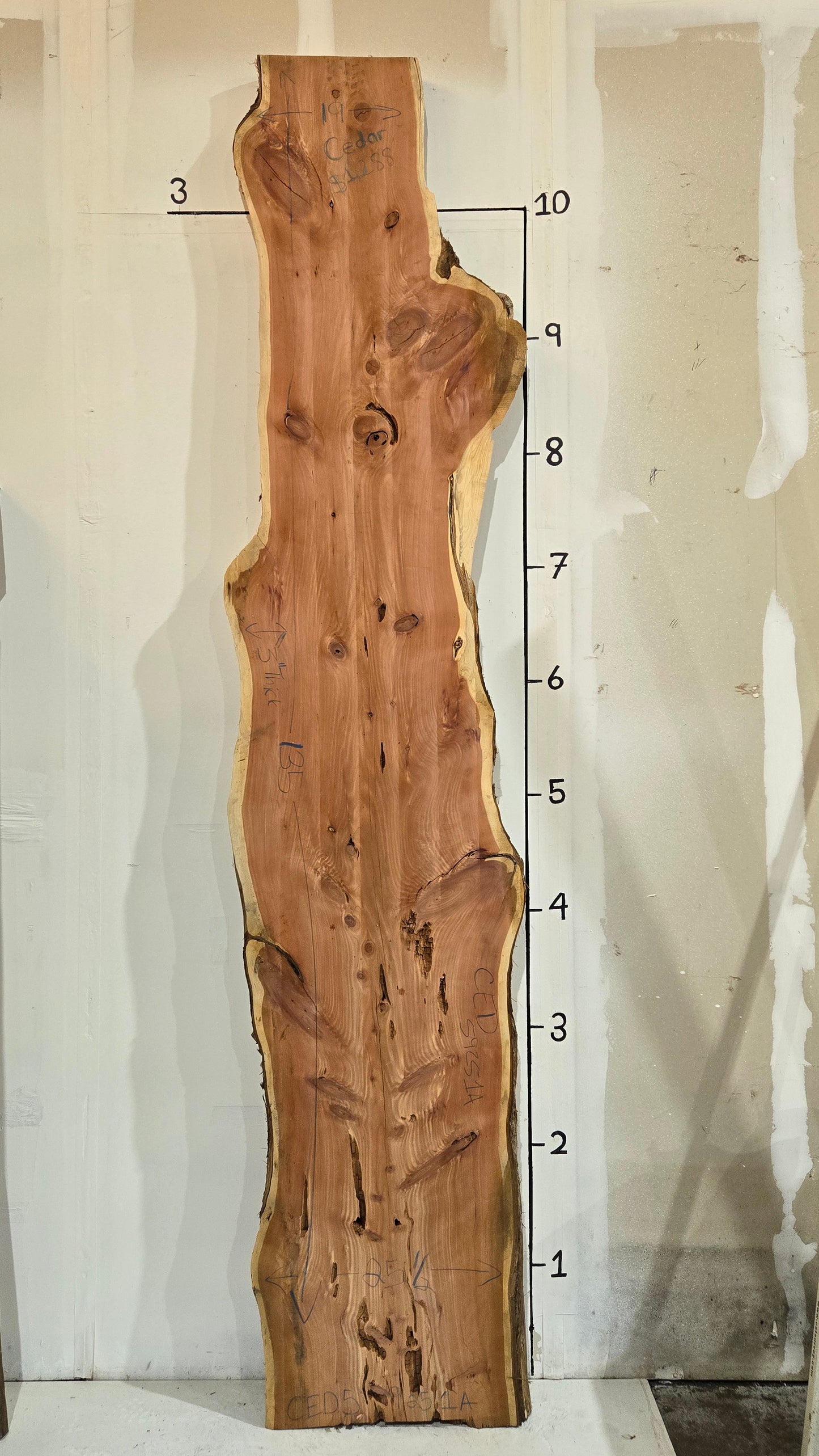 Cedar Live Edge Slab CED59251A