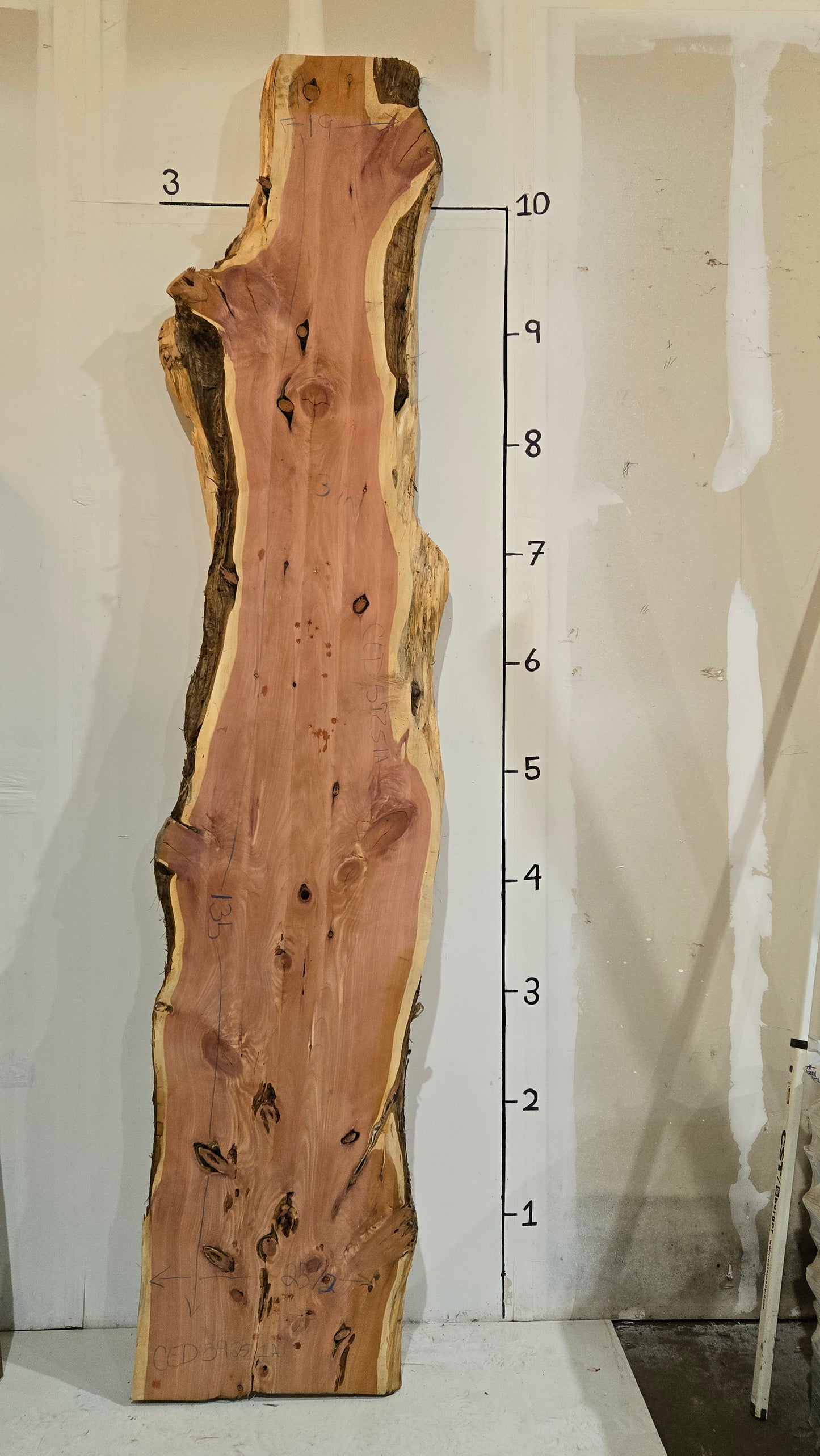 Cedar Live Edge Slab CED59251A