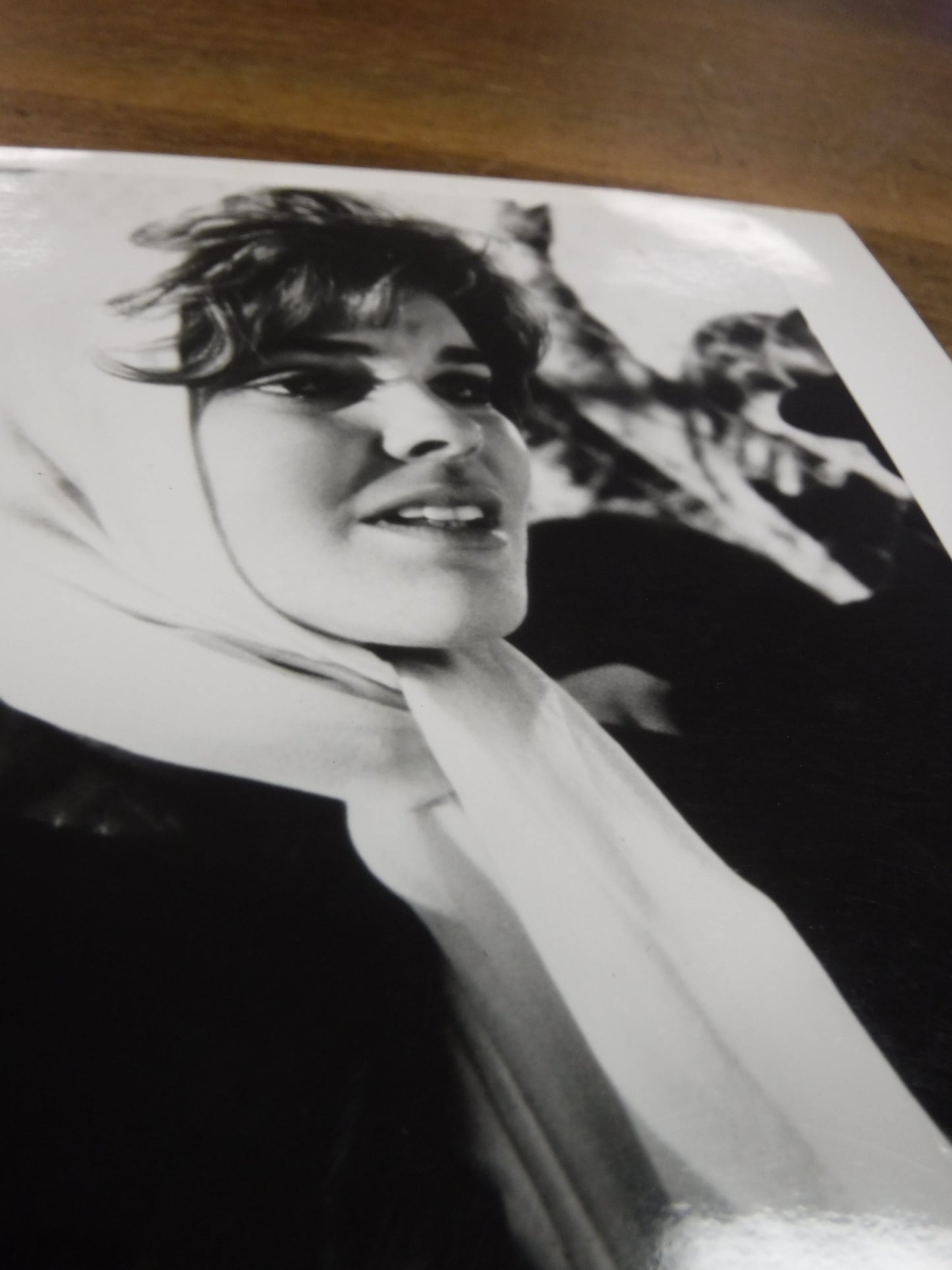 Elvis and Me Promo Still (1988)