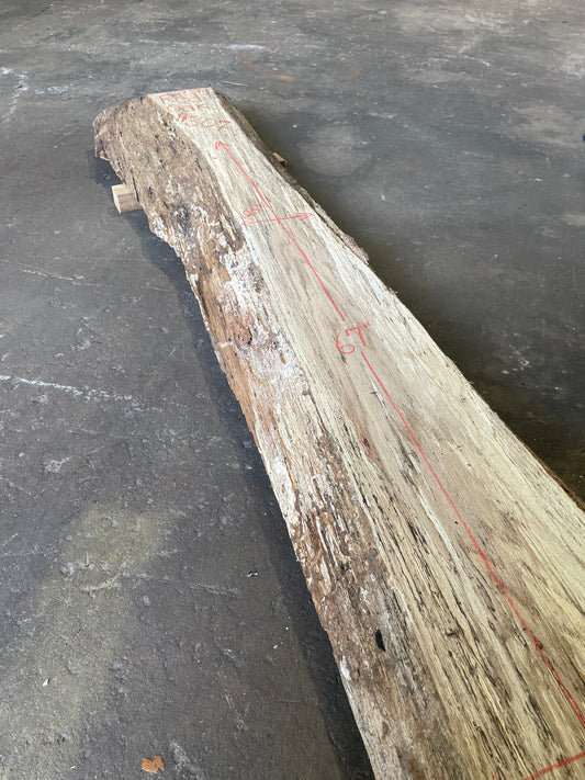 Red Oak Live Edge Slab