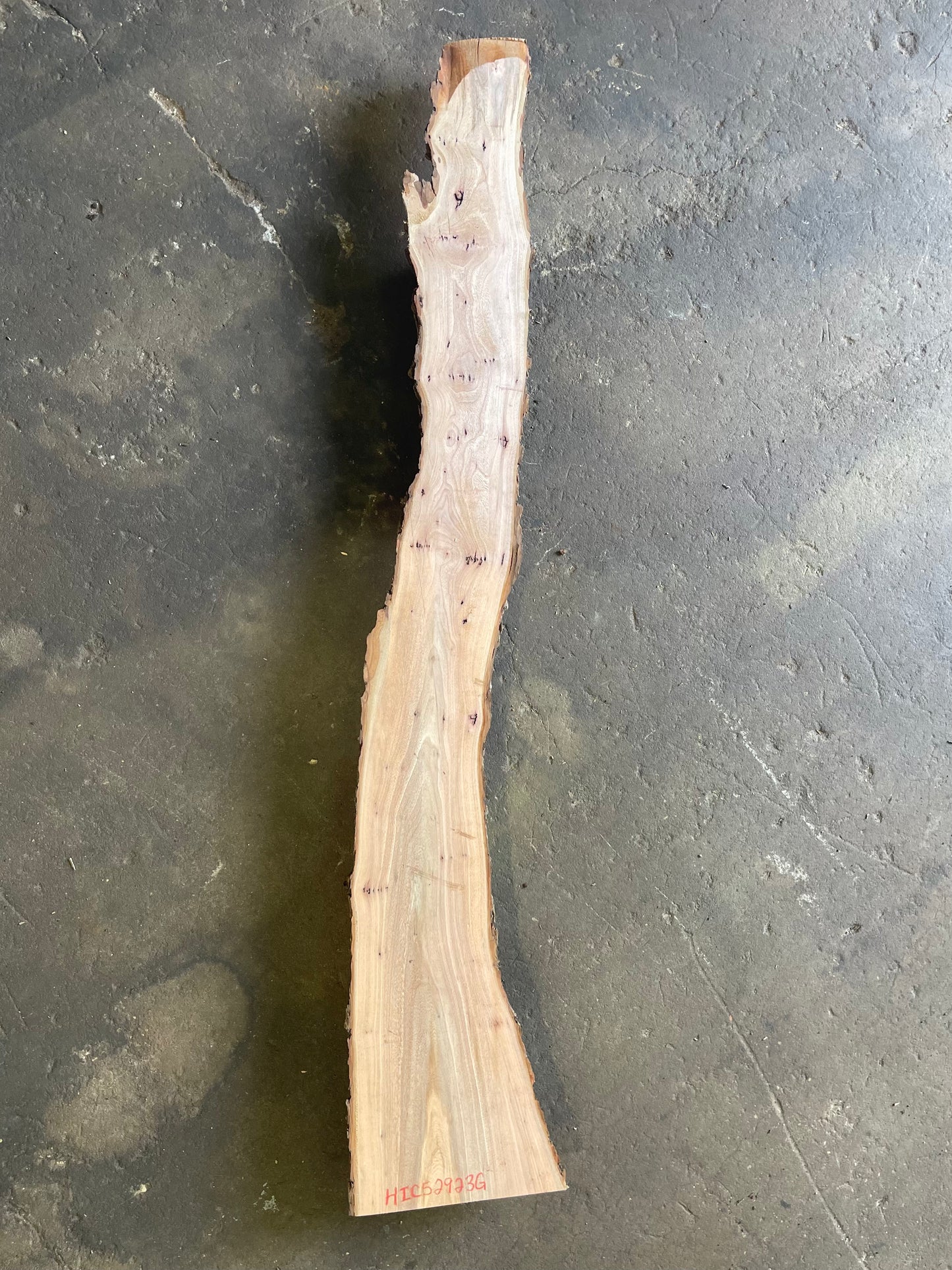 Hickory Live Edge Slab
