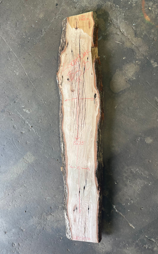 Laurel Oak Live Edge Slab