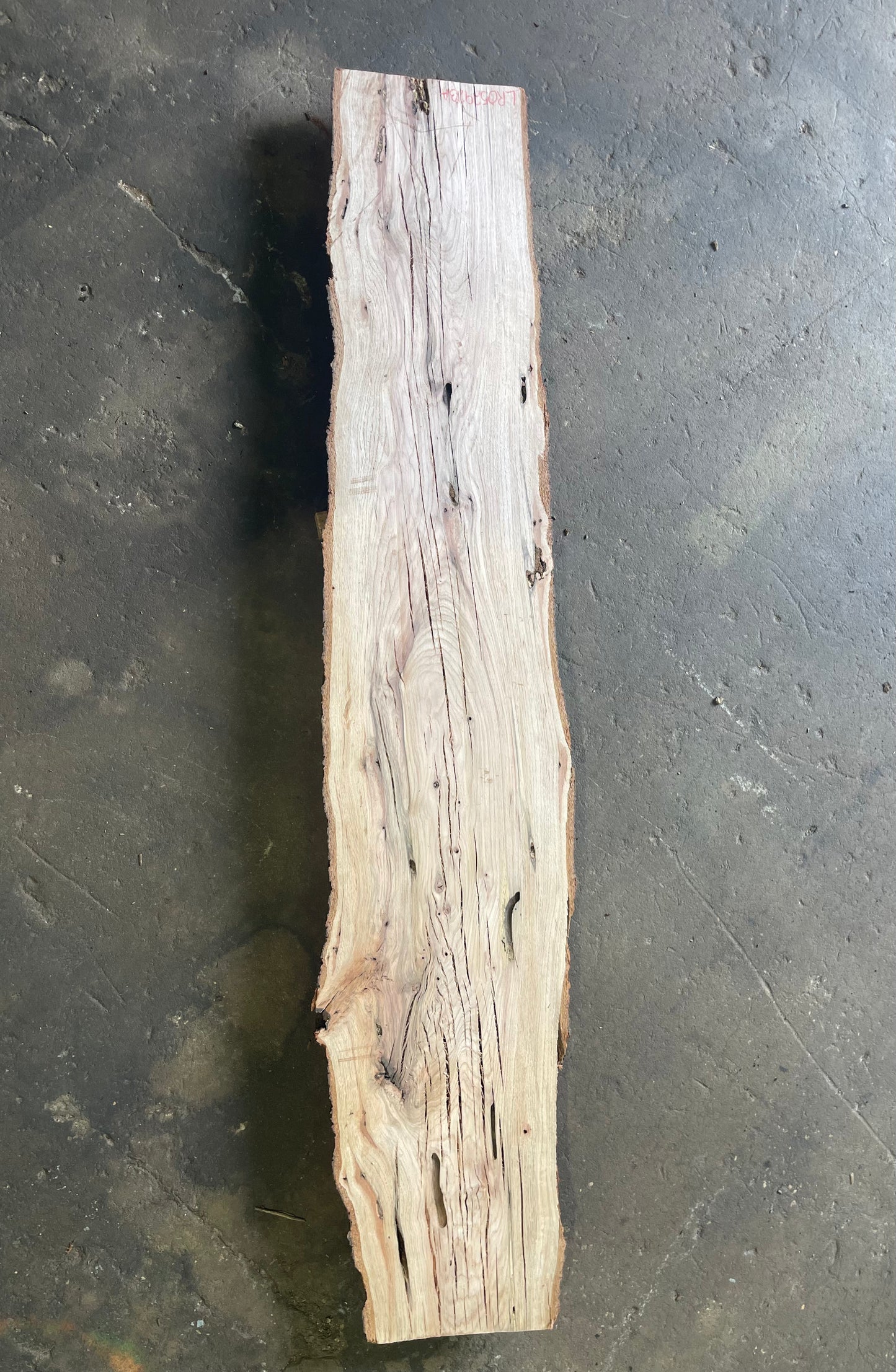 Laurel Oak Live Edge Slab