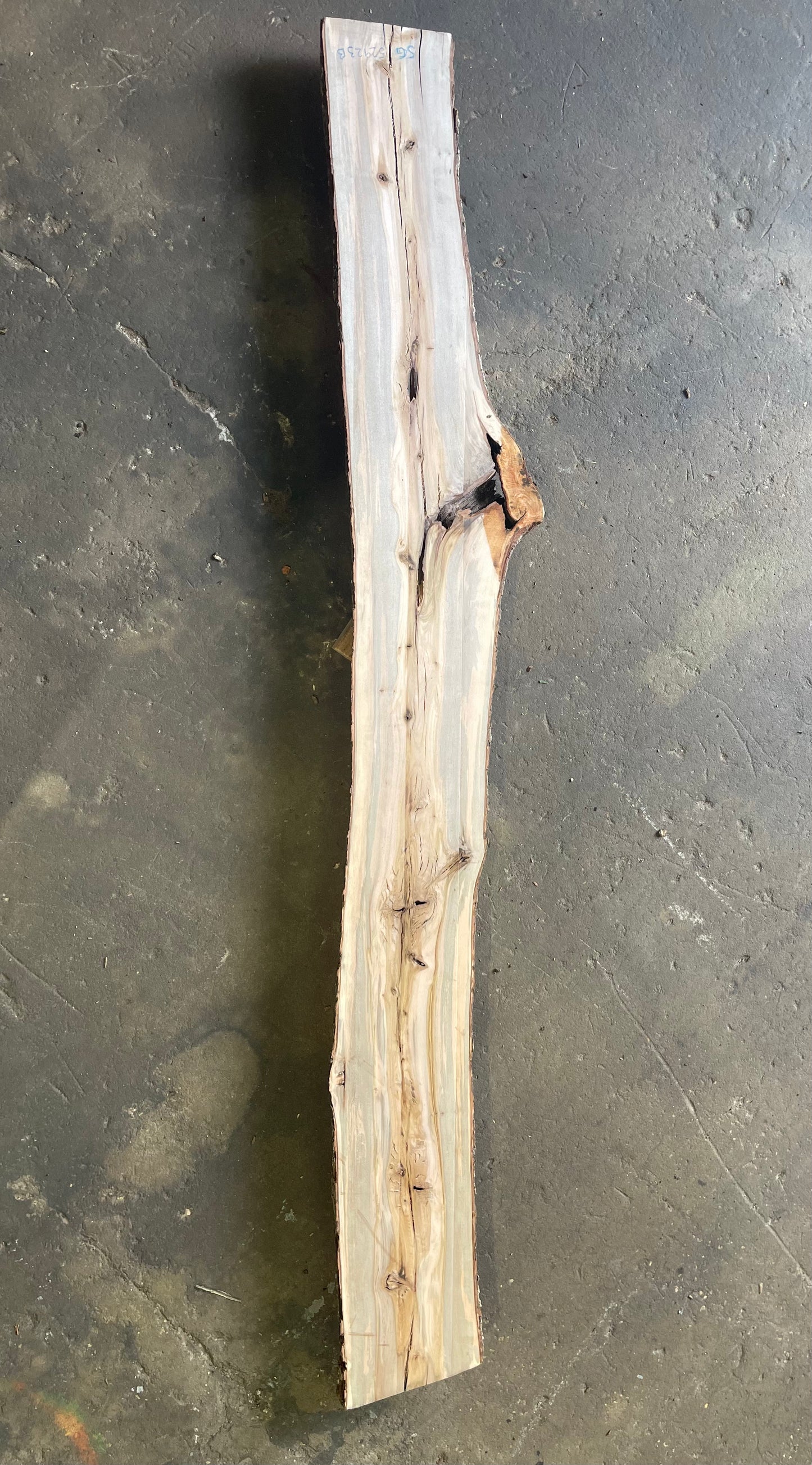 Sweet Gum Live Edge Slab