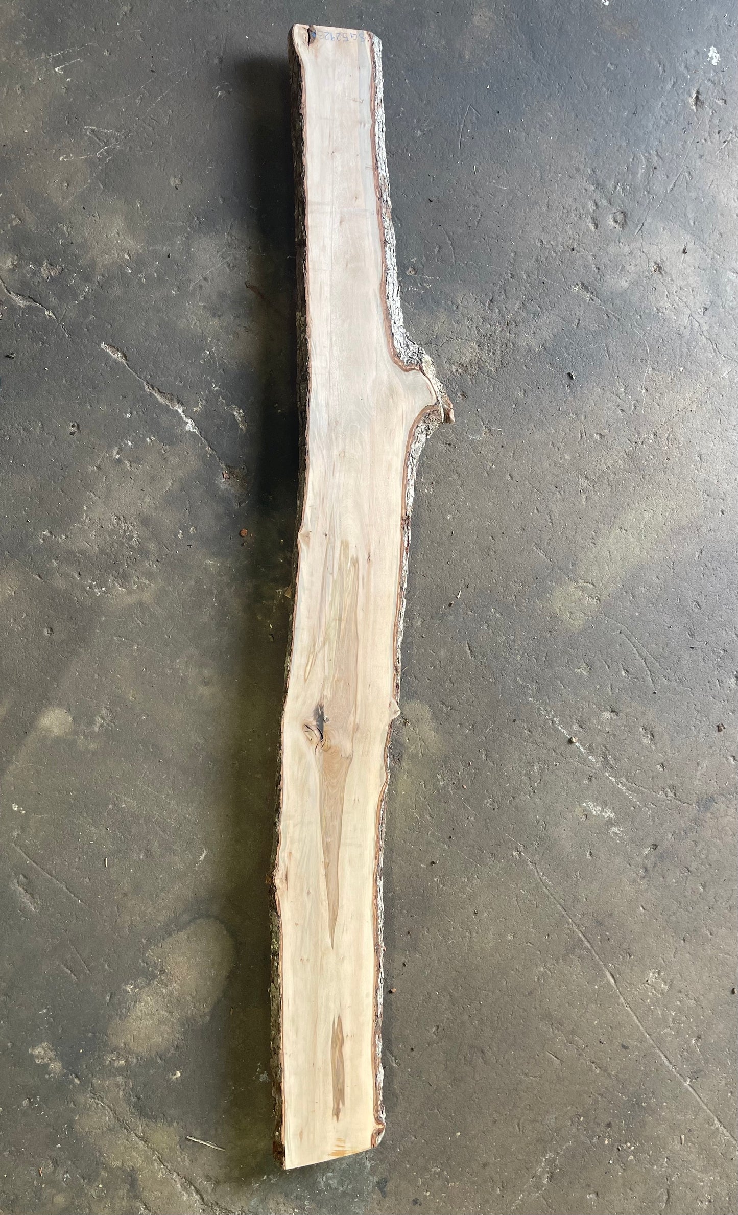 Sweet Gum Live Edge Slab
