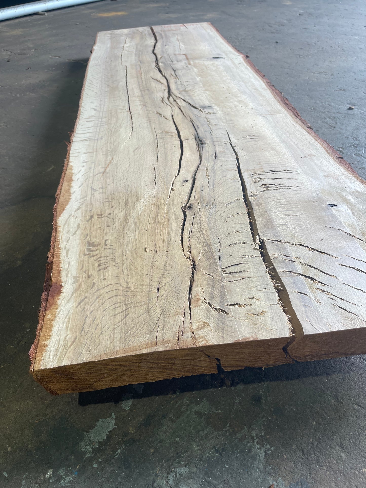 Live Oak Live Edge Slab