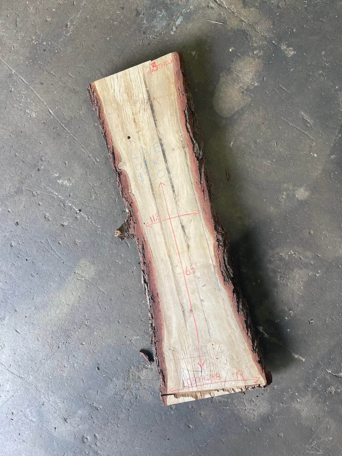Live Oak Live Edge Slab