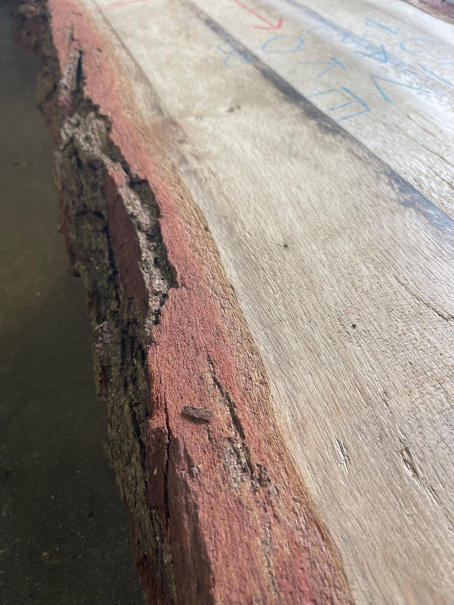 Live Oak Live Edge Slab