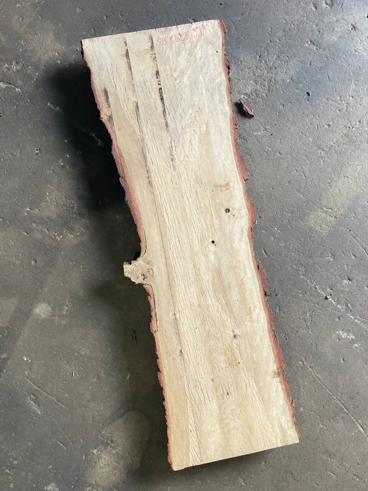 Live Oak Live Edge Slab