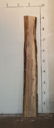 Maple Live Edge Slab MP101325A