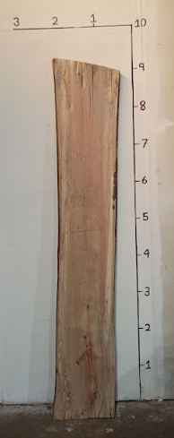 Maple Live Edge Slab MP10325B