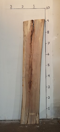 Maple Live Edge Slab MP10325C