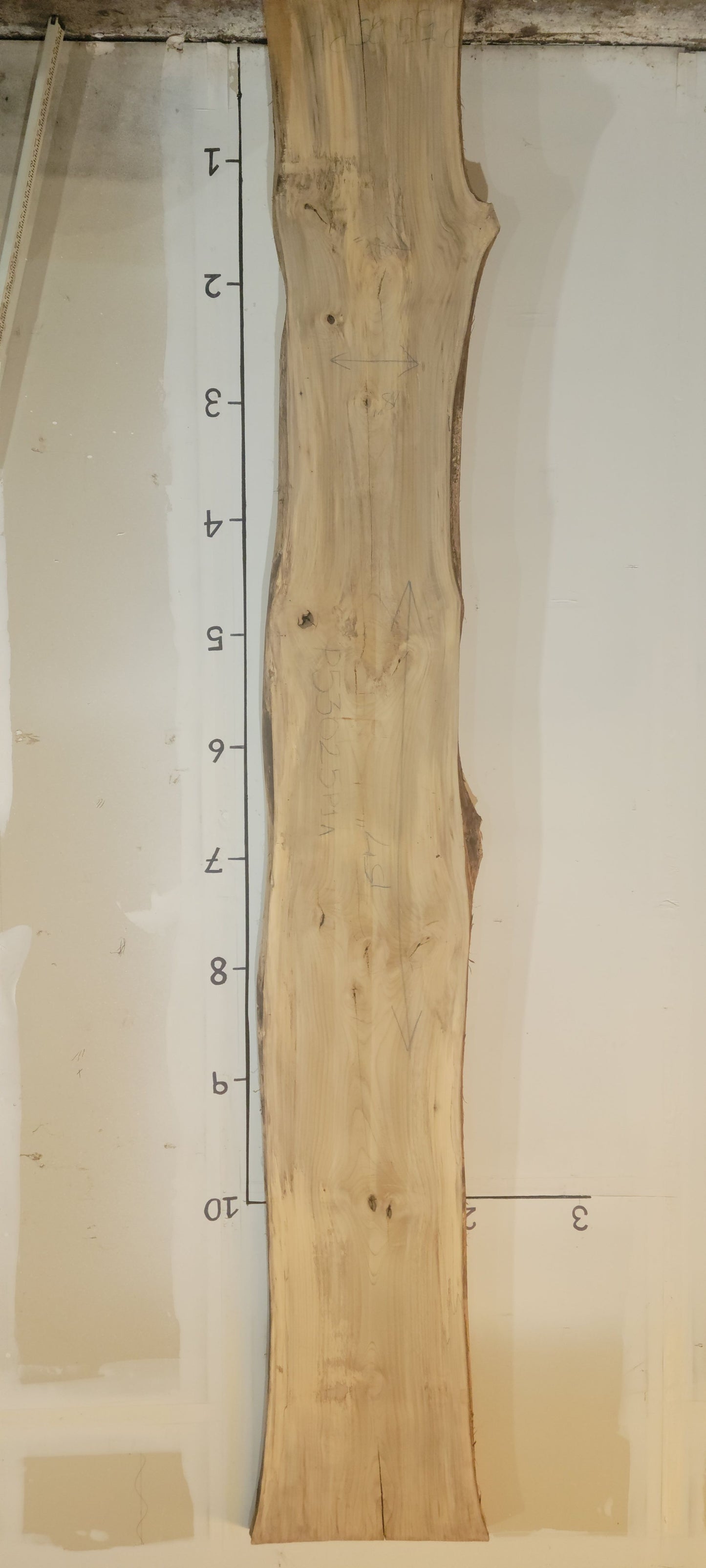 Pecan Live Edge Slab