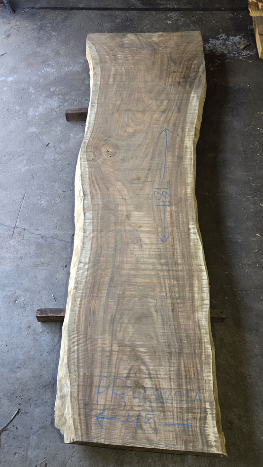 Perota slab PR418252A