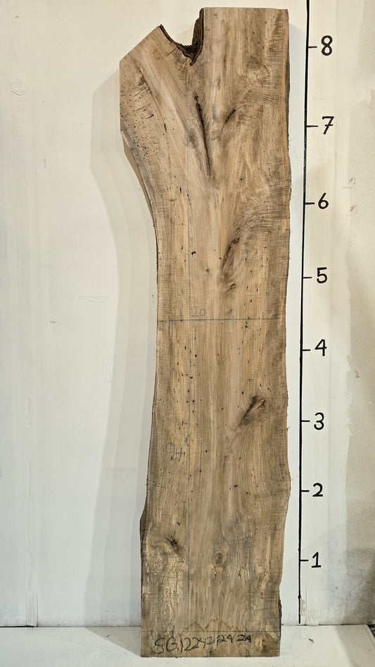 Sweet Gum Slab 1220202412