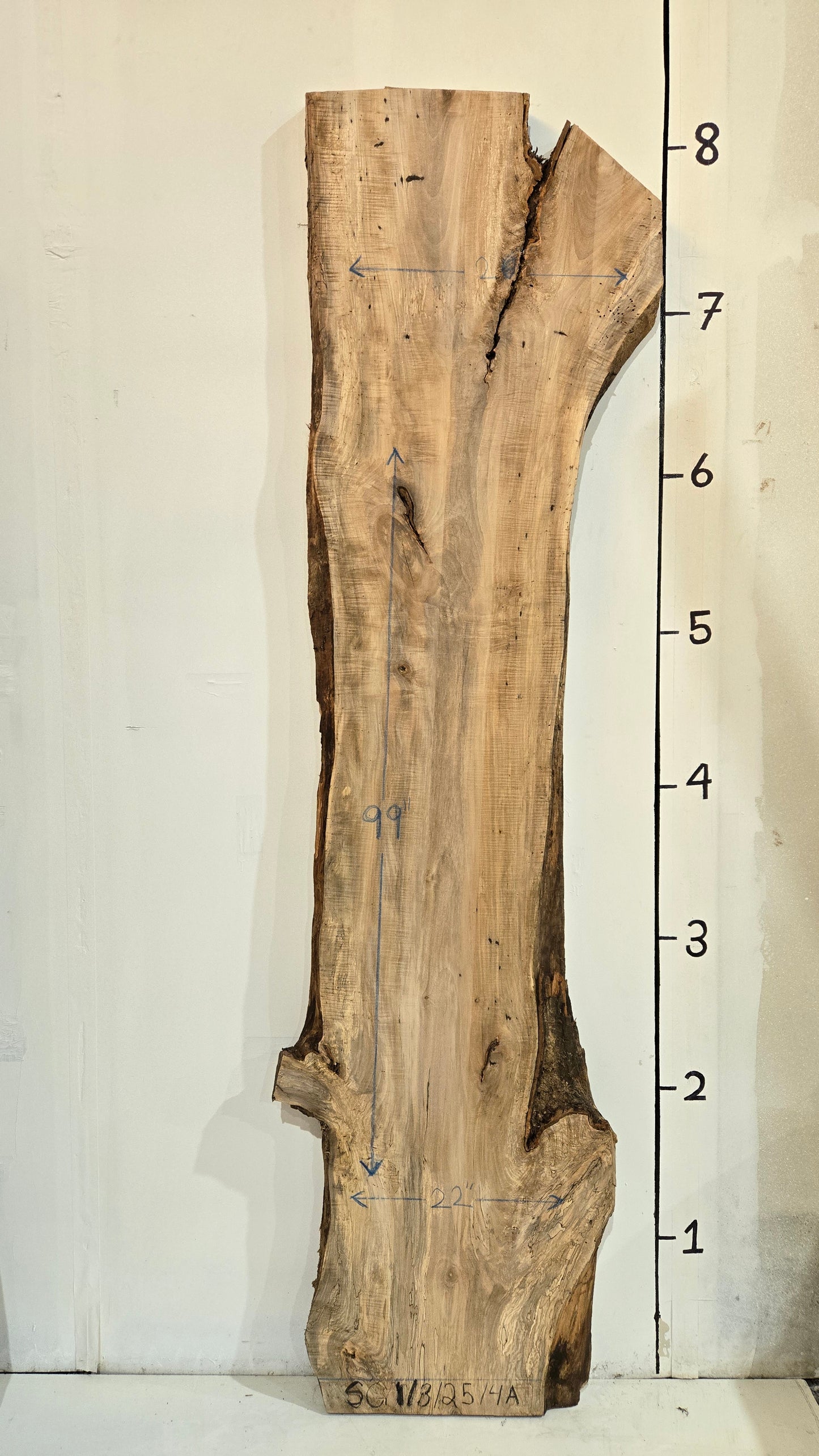Sweet Gum Slab -SG13254A