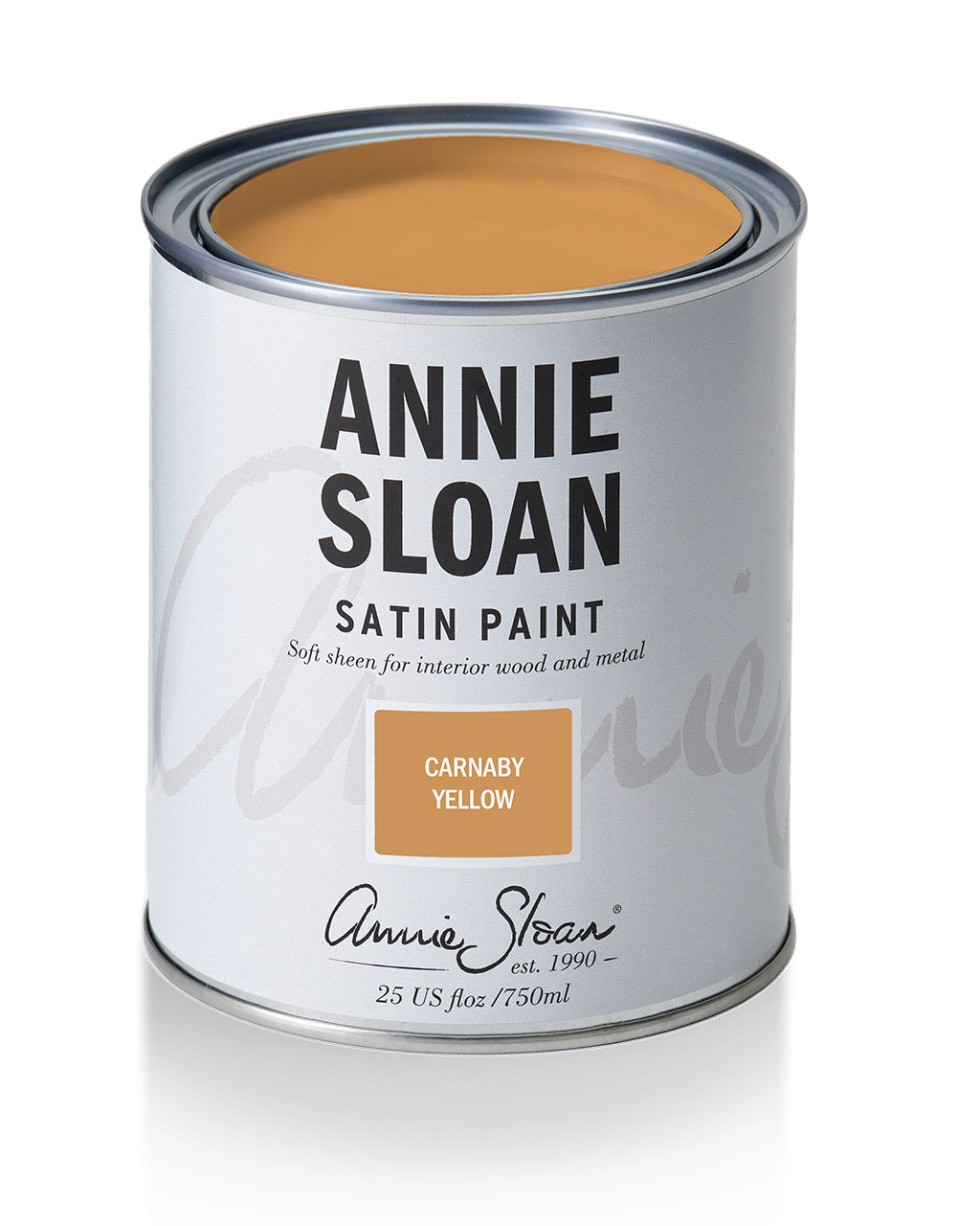 Annie Sloan Satin Paint