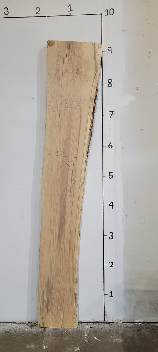 Ash Live Edge Slab A91825A