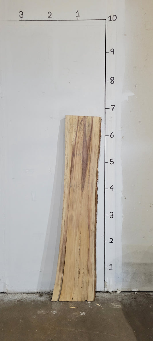 Ash Live Edge Slab A91825C