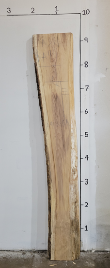 Ash Live Edge Slab A91825A