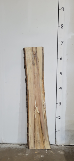 Ash Live Edge Slab A91825C