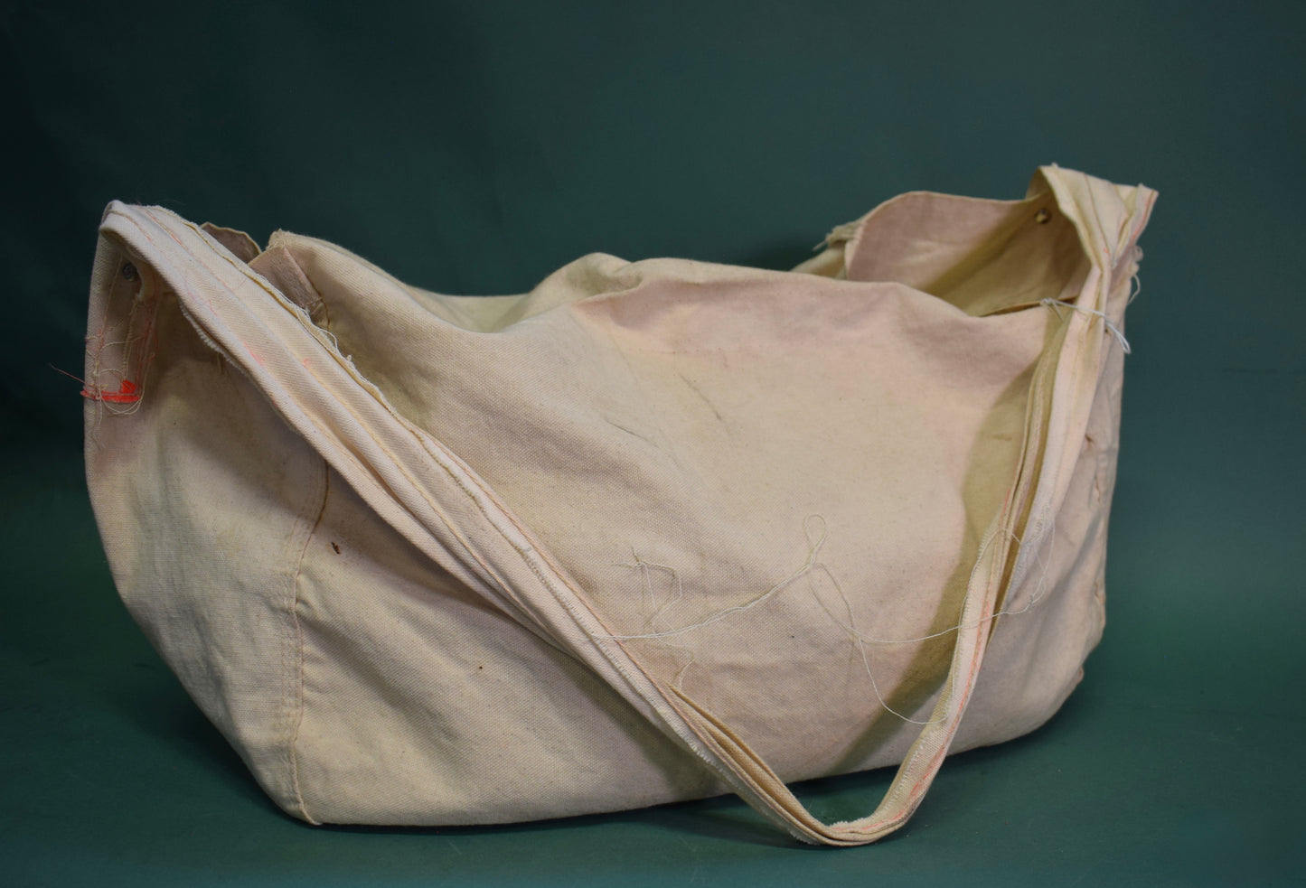 "Post Standard" vintage newspaper mail bag