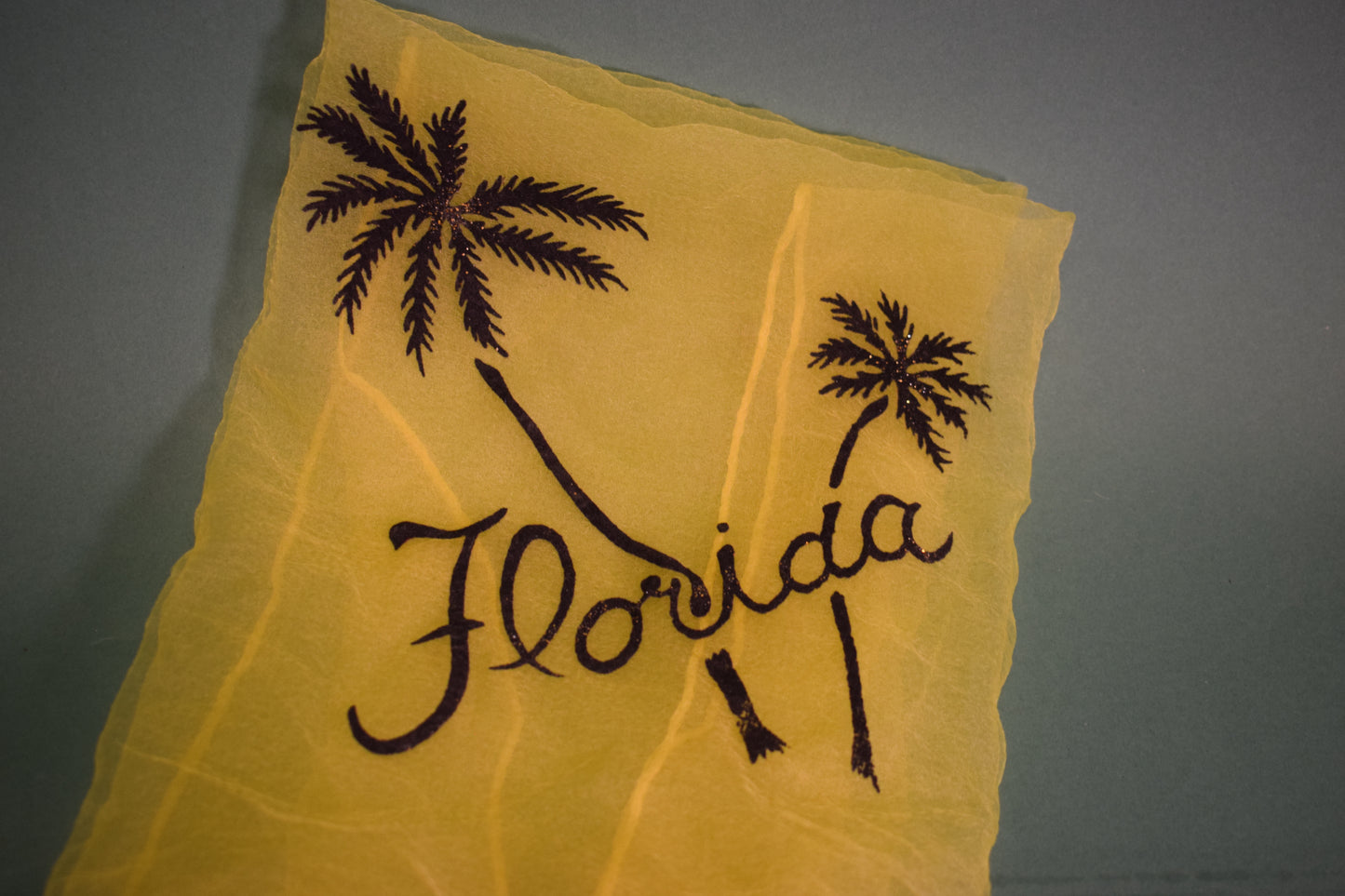 Vintage Florida souvenir scarf