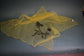 Vintage Florida souvenir scarf