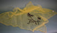 Vintage Florida souvenir scarf