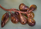 MCM glass grapes, set of three