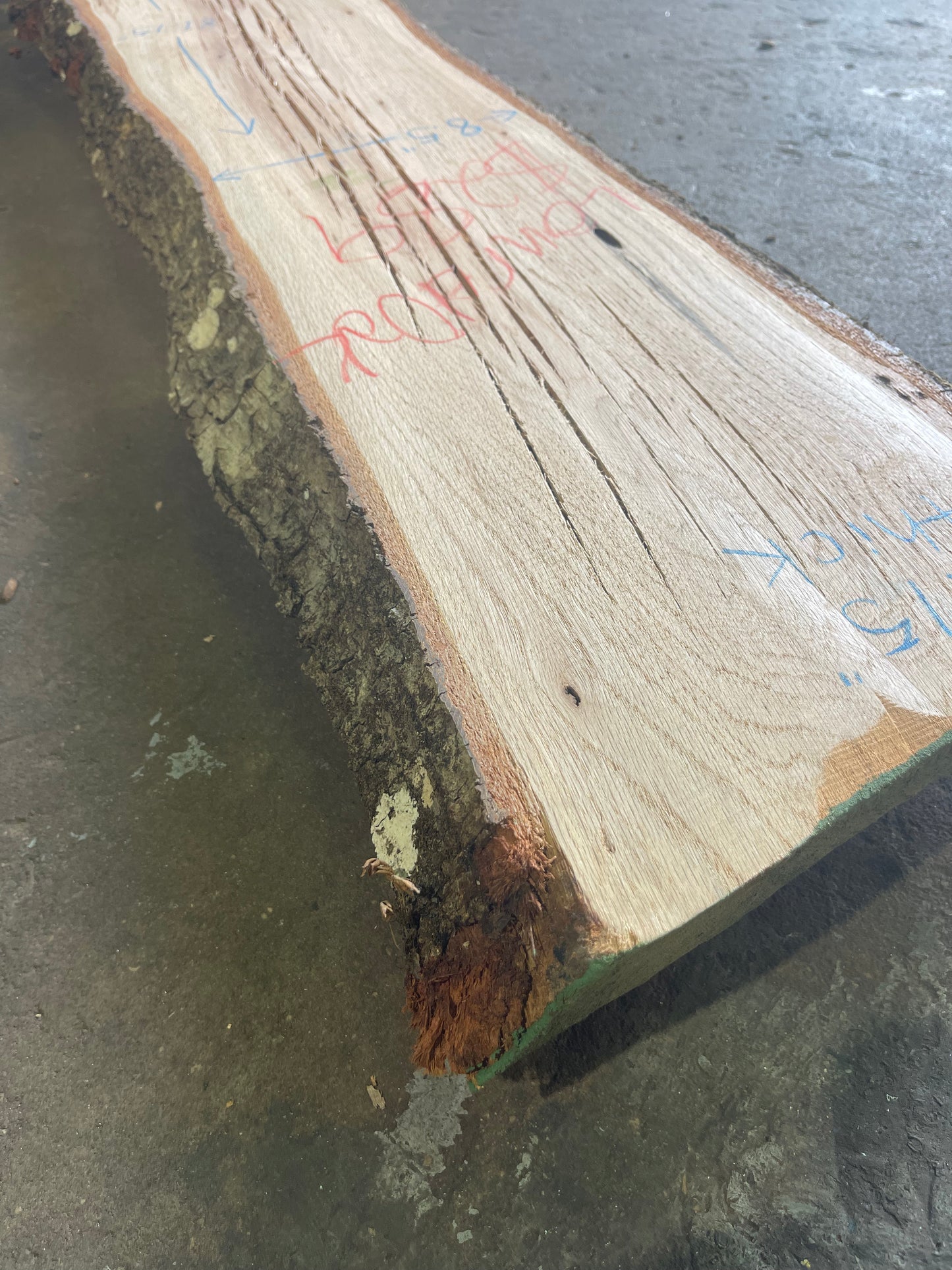 Laurel Oak Live Edge Slab