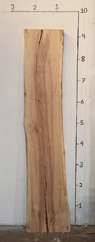 Maple Live Edge Slab
