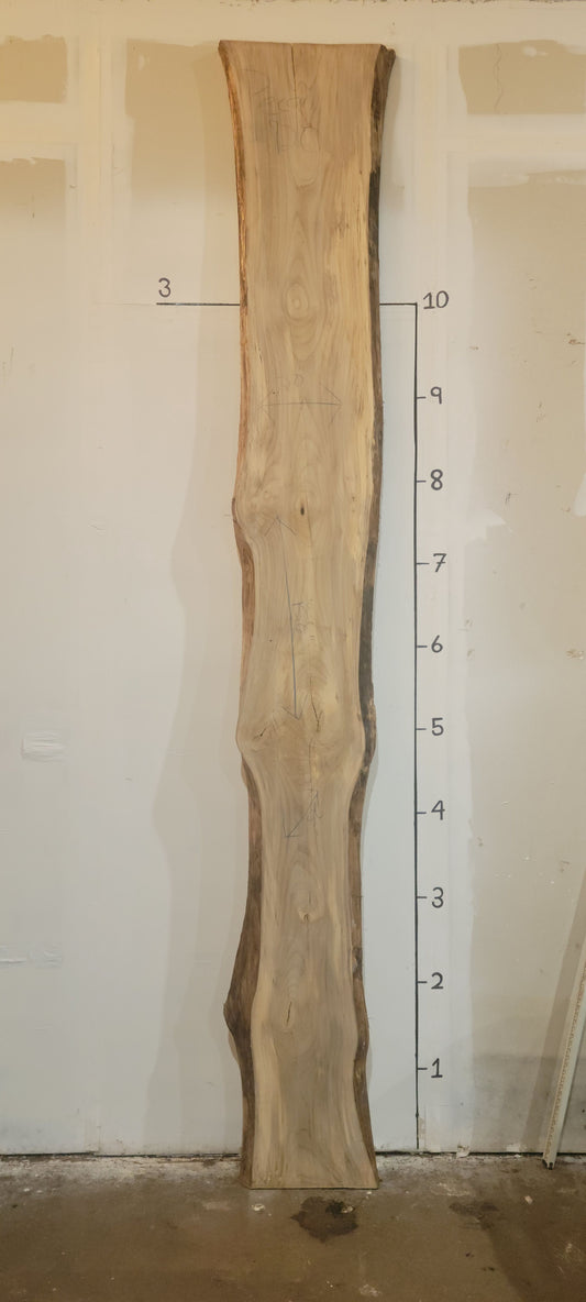 Pecan Live Edge Slab