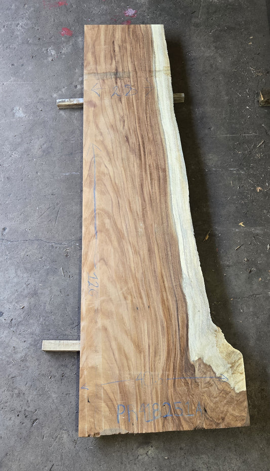 Perota Slab  PR418251A