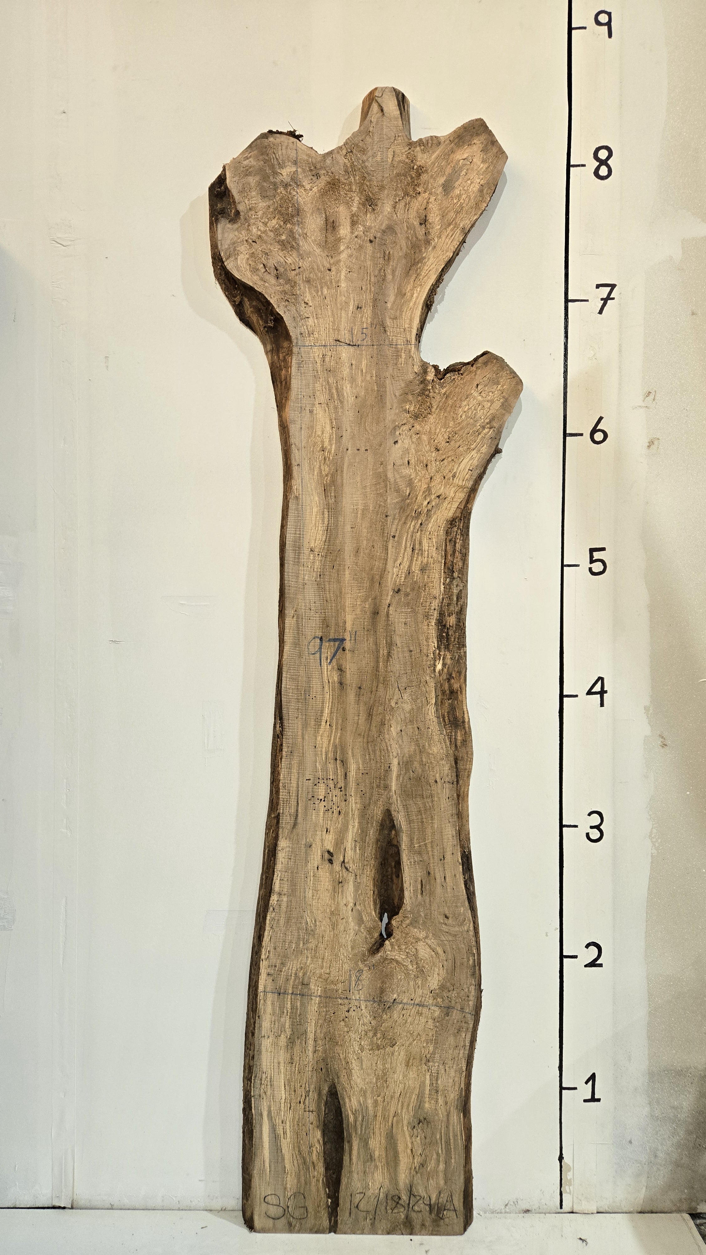 Sweet Gum Slab-1218241A – ecorelics
