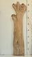 Sweet Gum Slab-1218241A