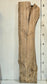 Sweet Gum Slab 1220202412