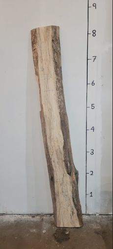Hickory Live Edge Slab HIC72425A